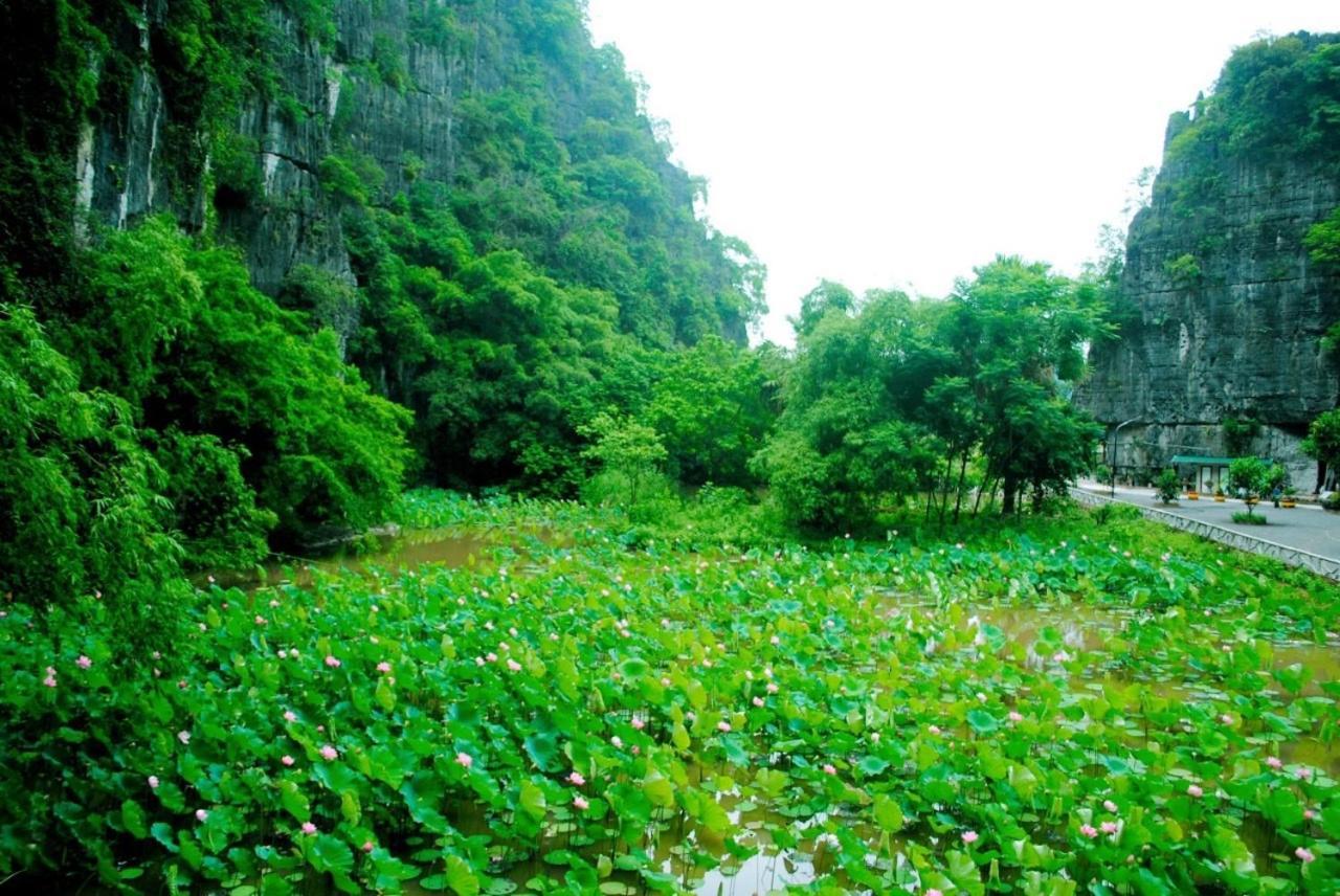 Tamcoc Viet Tan Homestay & Garden Ninh Binh Esterno foto