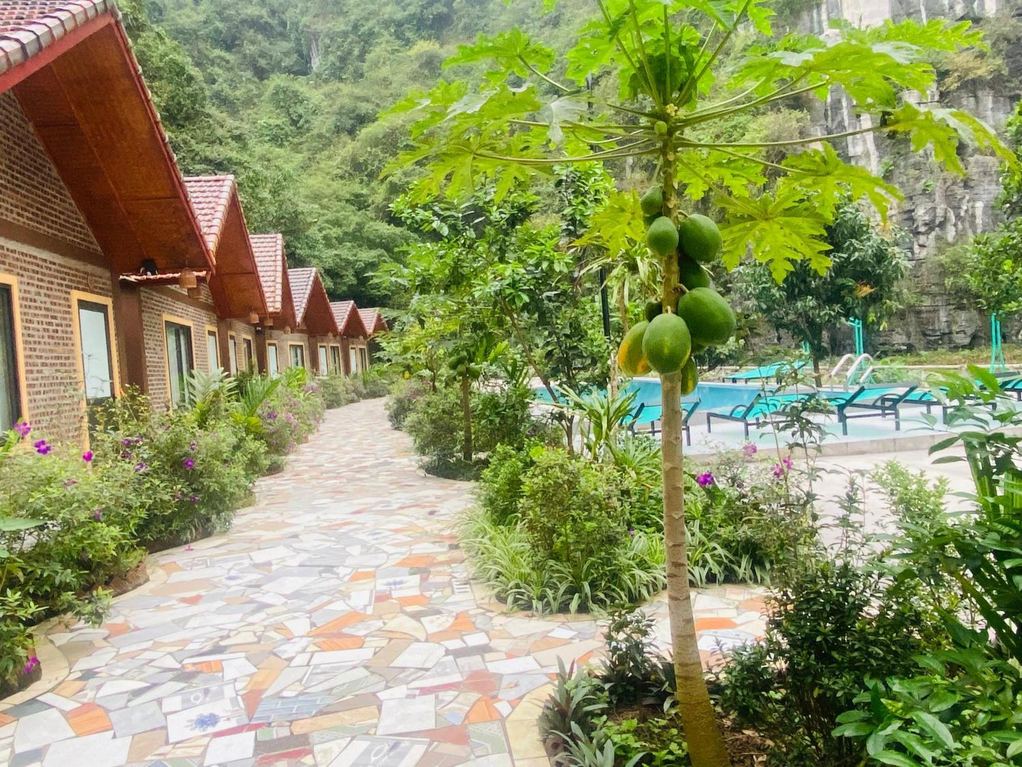 Tamcoc Viet Tan Homestay & Garden Ninh Binh Esterno foto